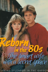 Reborn in the 80s: The Smart Wife with a Secret Space