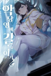 Taming The Villainesses