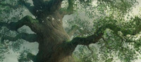 Tree of Aeons